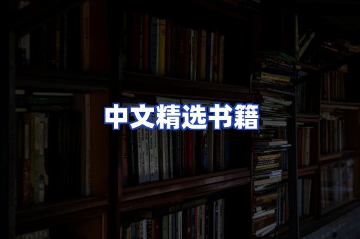 中文精选书籍